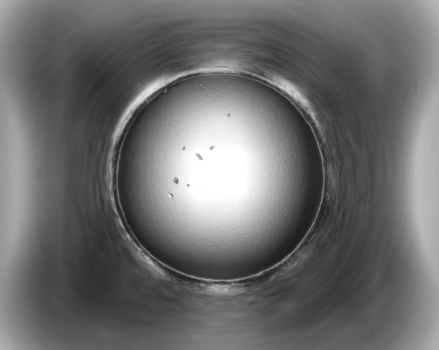 X0000085081480200703191312