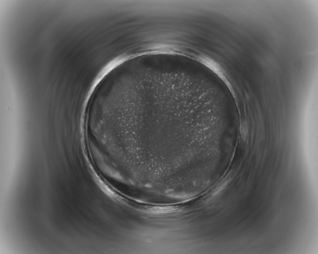 X0000085081482200703191312