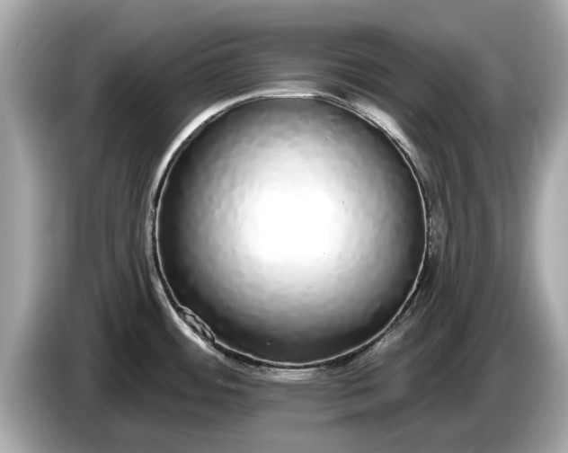 X0000085081484200703191312