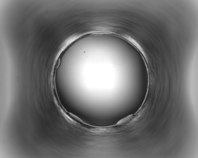 X0000085081485200703191312