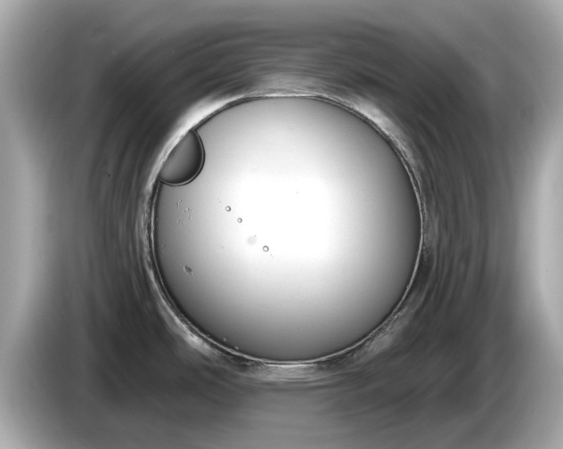 X0000085081486200703191312