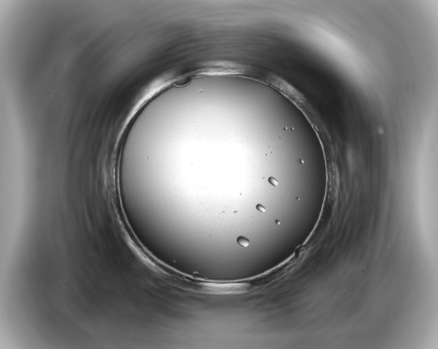 X0000085081487200703191312