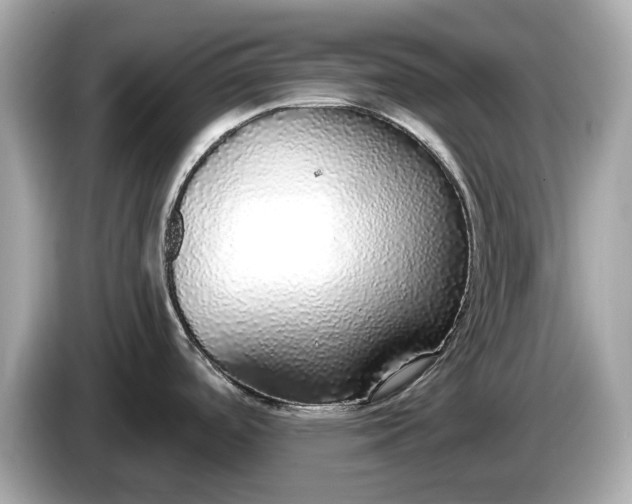 X0000085081488200703191312