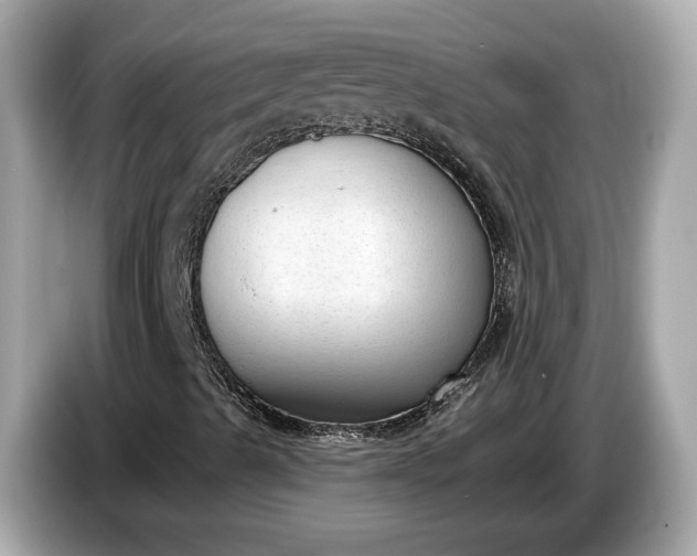 X0000085081489200703191312