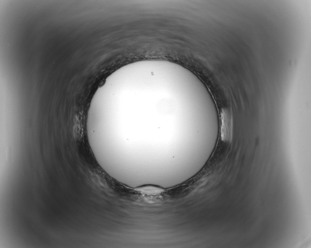 X0000085081491200703191312