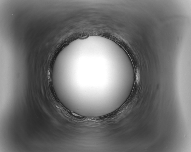 X0000085081492200703191312