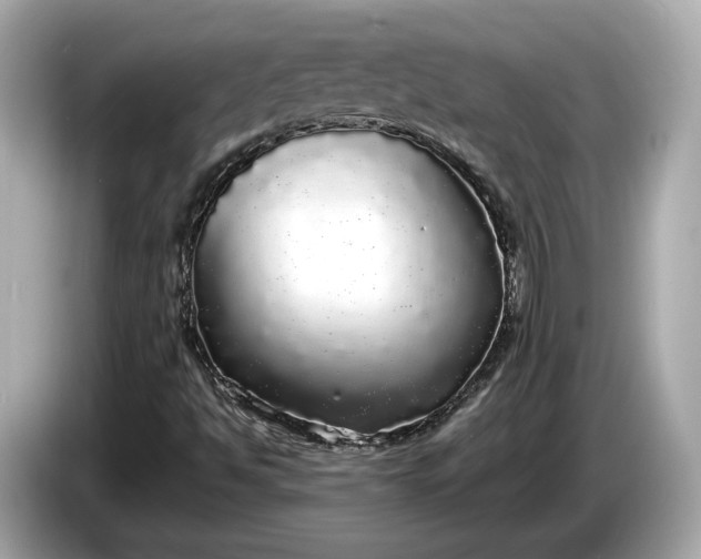 X0000085081494200703191312