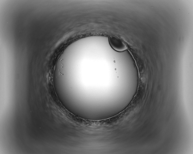 X0000085081495200703191312