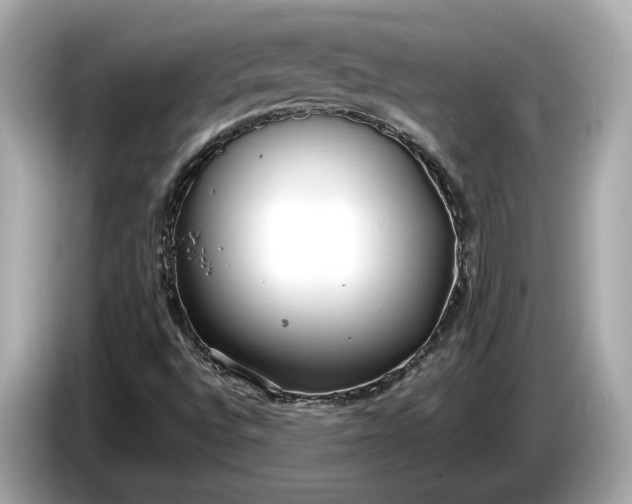 X0000085081496200703191312