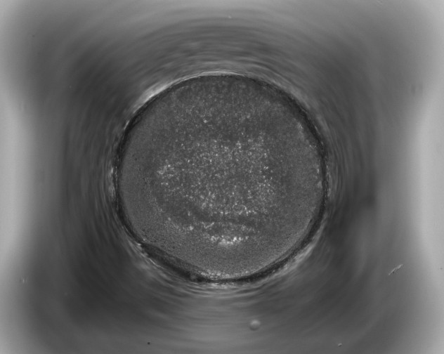 X0000085081497200703191312