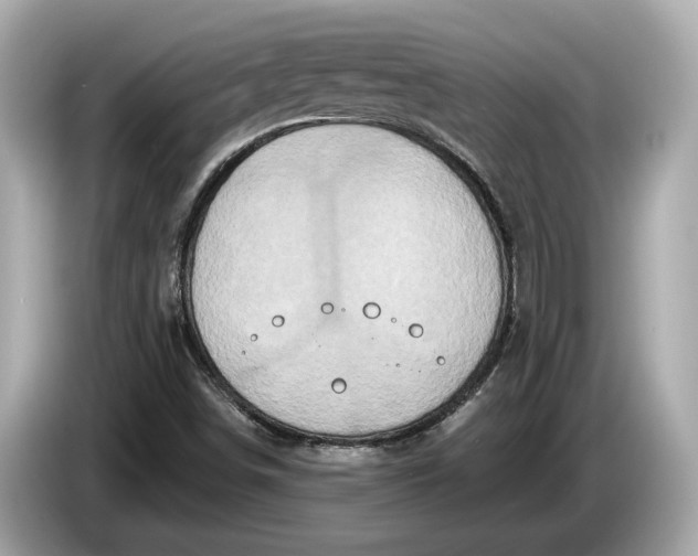 X0000085081498200703191312