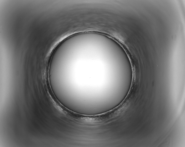 X0000085081500200703191312