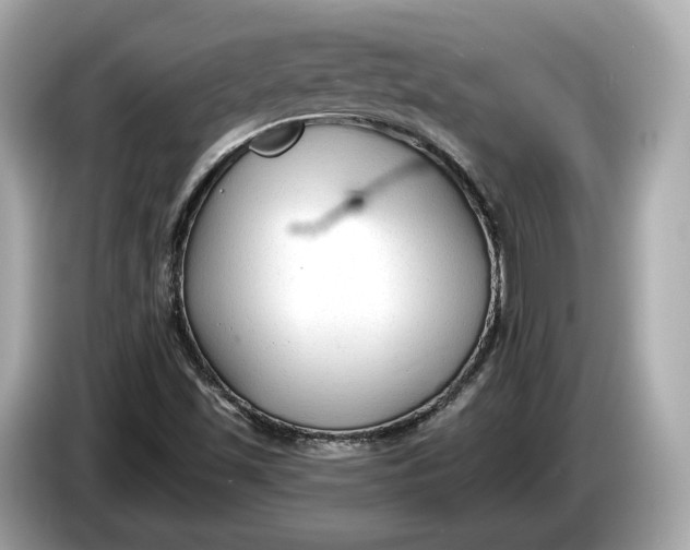 X0000085081501200703191312