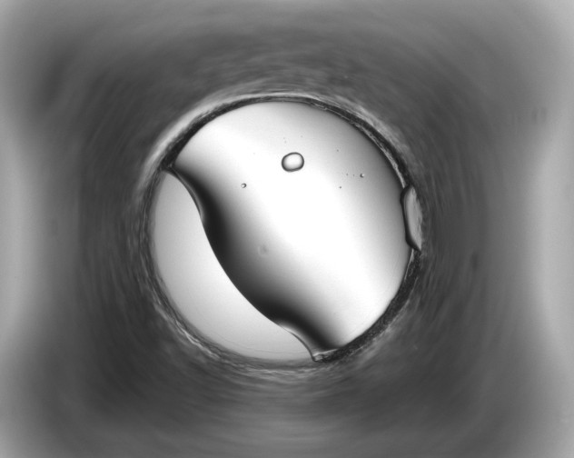 X0000085081502200703191312