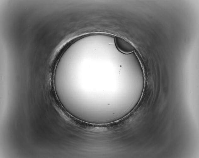 X0000085081503200703191312