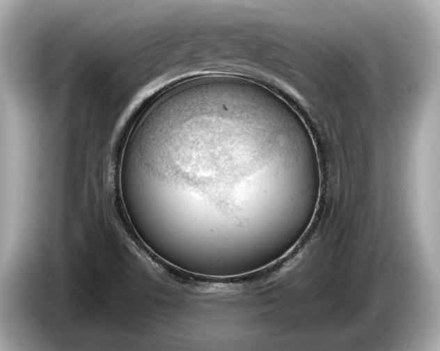 X0000085081506200703191312