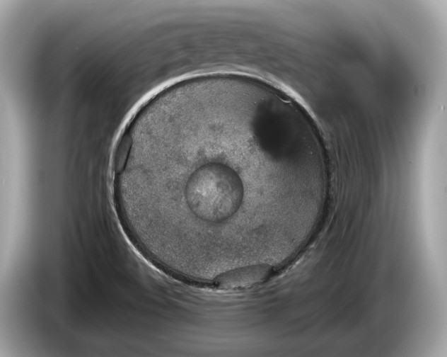 X0000085081508200703191312