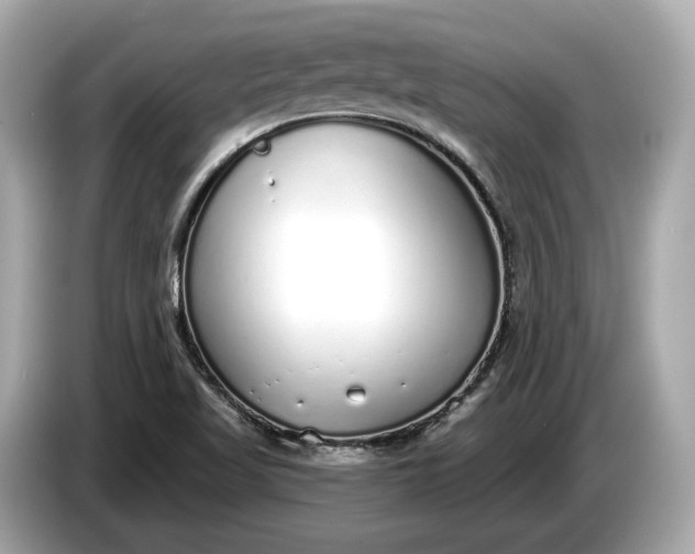 X0000085081509200703191312