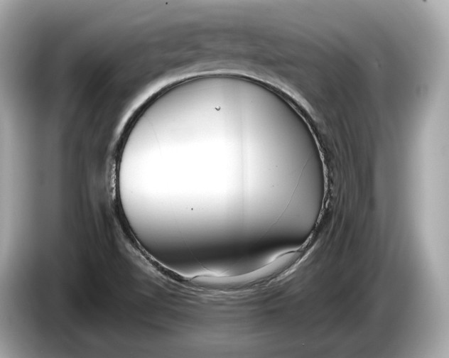 X0000085081510200703191312