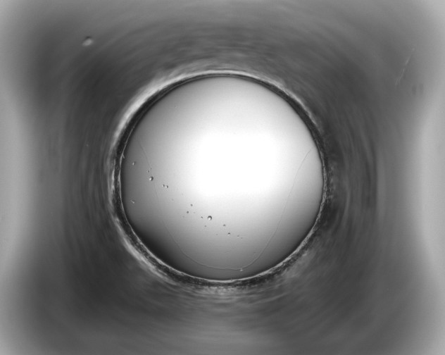 X0000085081511200703191312