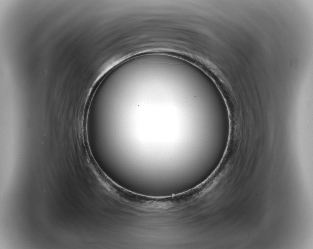 X0000085081513200703191312