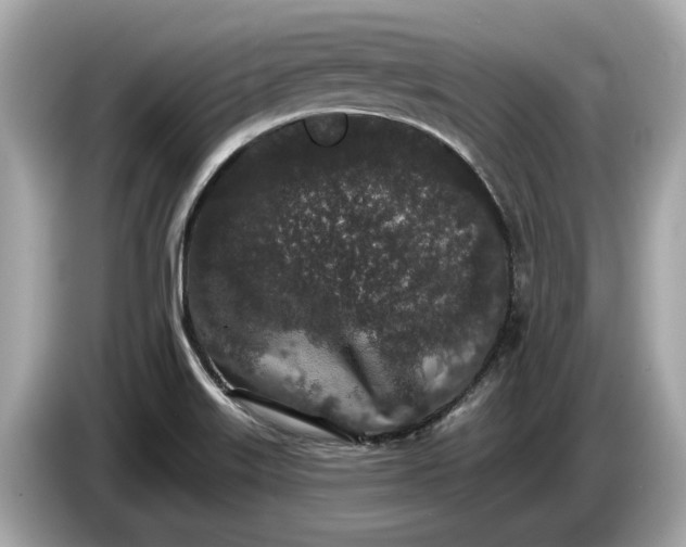 X0000085081515200703191312