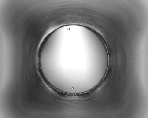 X0000085081517200703191312