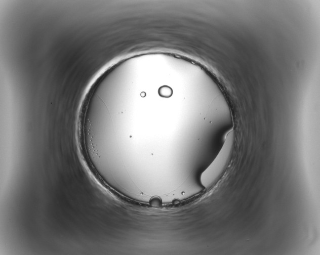 X0000085081518200703191312