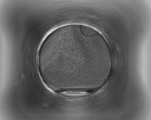 X0000085081519200703191312