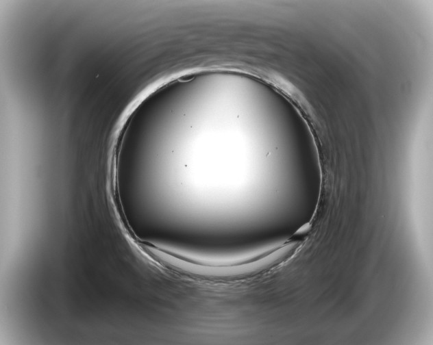 X0000085081520200703191312