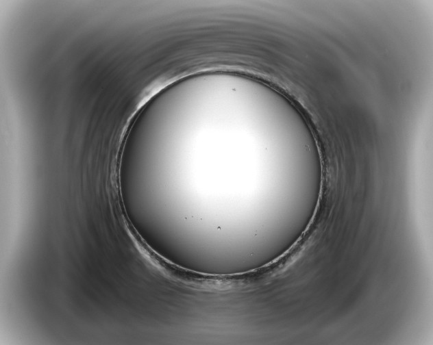 X0000085081521200703191312