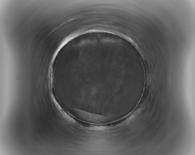 X0000085081522200703191312