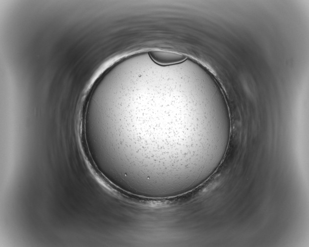 X0000085081523200703191312