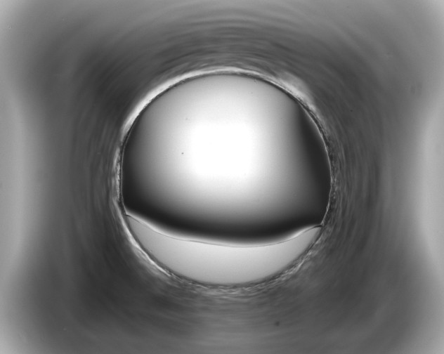 X0000085081524200703191312