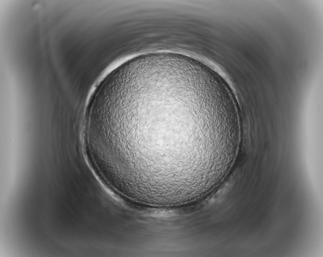 X0000085081525200703191312