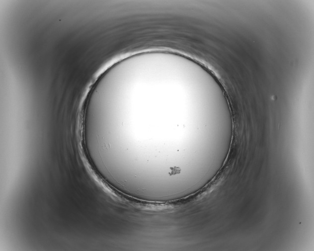 X0000085081526200703191312