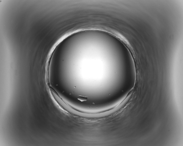 X0000085081528200703191312