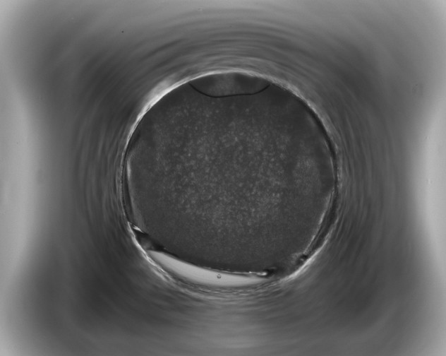 X0000085081529200703191312