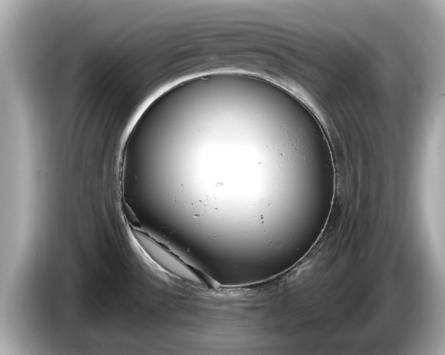 X0000085081532200703191312