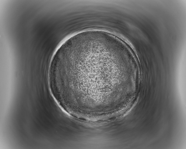 X0000085081533200703191312