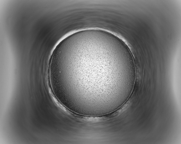 X0000085081534200703191312