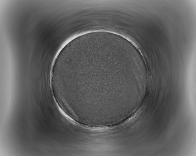 X0000085081535200703191312