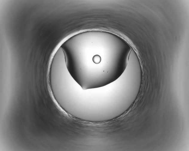 X0000085081536200703191312