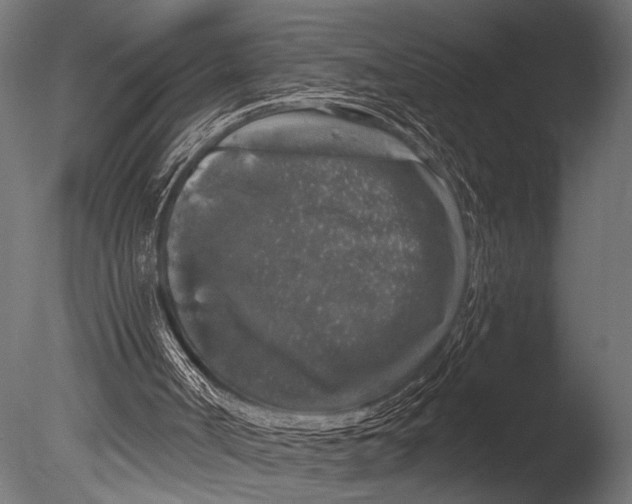 X0000085080002200703261310