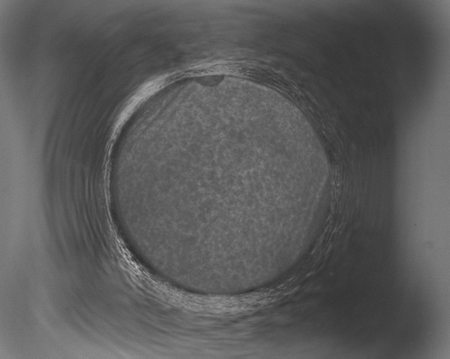 X0000085080006200703261310