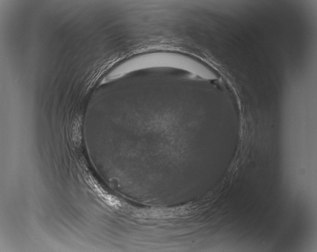 X0000085080009200703261310