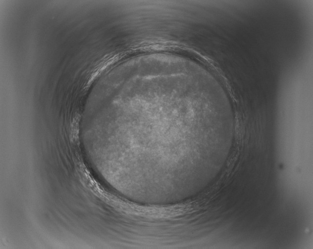 X0000085080010200703261310