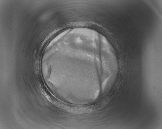 X0000085080012200703261310