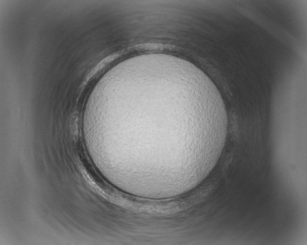 X0000085080016200703261310