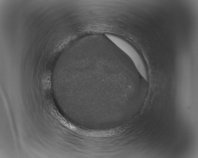 X0000085080017200703261310